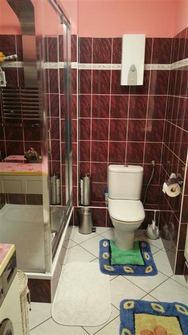 شقة Apartament Andreas مينززدرويه المظهر الخارجي الصورة